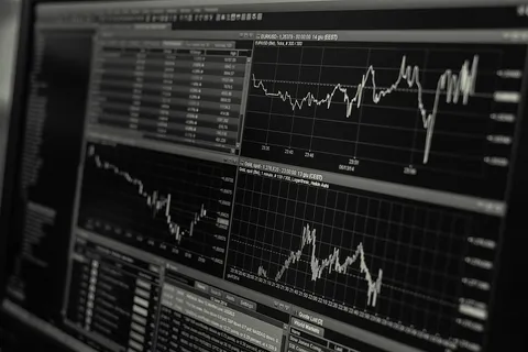 IVD Industry Under Pressure in 2024 Earnings: More Than 70% of Companies Posted Losses